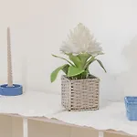 H11 Maison Bleu Centro - Ariston شقة