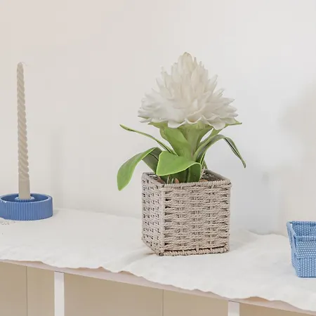 H11 Maison Bleu Centro - Ariston Appartement